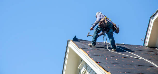 Best Roof Gutter Cleaning  in National Park, NJ